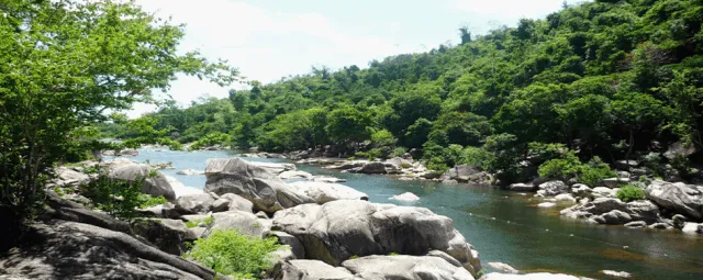 Sản phẩm a98 — Công Ty TNHH Dịch Vụ Big Travel — MST 0401712928