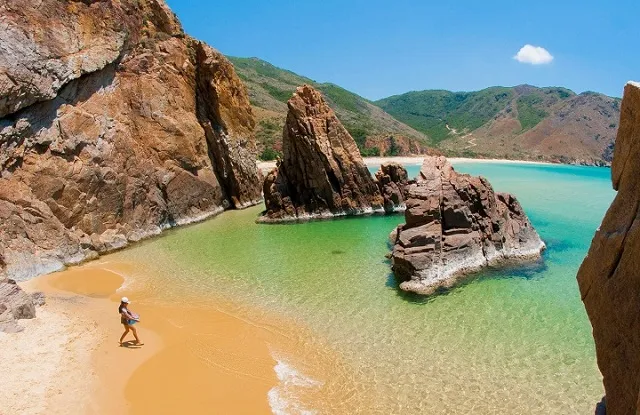 Sản phẩm Bai Ky Co Quy Nhon 7 — Công Ty TNHH Dịch Vụ Big Travel — MST 0401712928