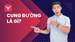 Sản phẩm 251 300x169 1 — Công Ty TNHH MTV Giải Pháp Công Nghệ Nano Vina — MST 0401720502