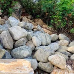 Sản phẩm Da cuoi xam xanh 247x247 — Công Ty TNHH Vật Liệu Xây Dựng Phố Đá Đẹp — MST 0401741686