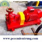 Sản phẩm 1463453730 img 150 150 A — Công Ty TNHH An Bảo Lâm — MST 0401742150
