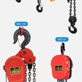 Sản phẩm electric chain hoist dhs 280x280 — Thiết Bị Thủy Lực AAU - Công Ty Cổ Phần Thế Giới Thủy Lực AAU — MST 0401760093