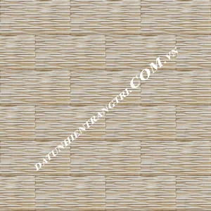 Sản phẩm da rang luoc vang 10x20 cm_300x300 — Công Ty TNHH TM & DV Huy Gia Thịnh — MST 0401809165