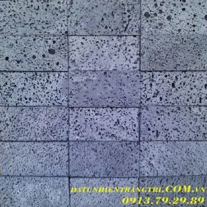 Sản phẩm da to ong den 10x20 cm_300x300 — Công Ty TNHH TM & DV Huy Gia Thịnh — MST 0401809165