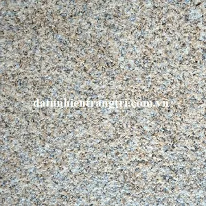 Sản phẩm granite vang bam mat 30x60 cm_300x300 — Công Ty TNHH TM & DV Huy Gia Thịnh — MST 0401809165