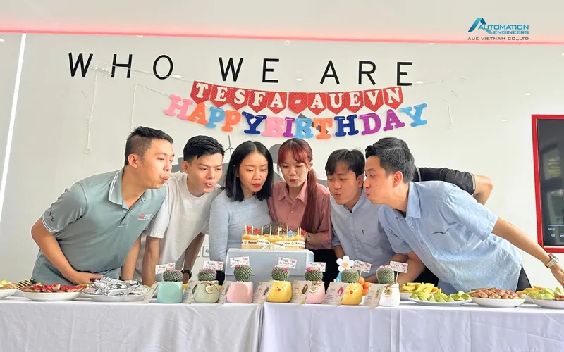 Sản phẩm 4 1 — Công Ty TNHH AUE Việt Nam — MST 0401812217