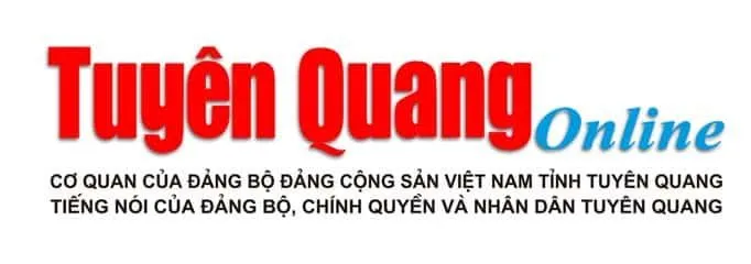 Văn phòng Công Ty TNHH Thương Mại Và Dịch Vụ Toàn Cầu Vàng #? — MST 0401827781