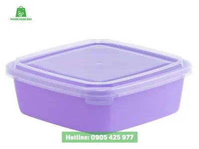 Sản phẩm hop nhua vuong dai dong tien phuocngocbao 400x300 — Công Ty TNHH Thương Mại Phước Ngọc Bảo — MST 0401829524