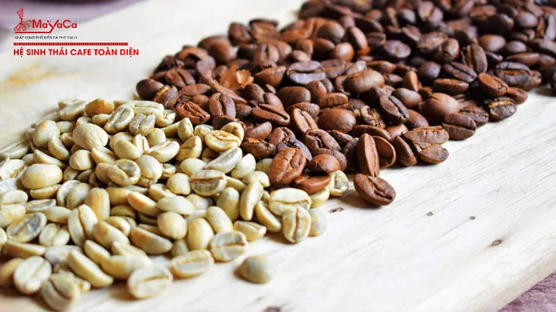 Sản phẩm ca phe rang moc la gi mayacacoffee — Công ty TNHH MTV Cà Phê MaYaCa — MST 0401832340