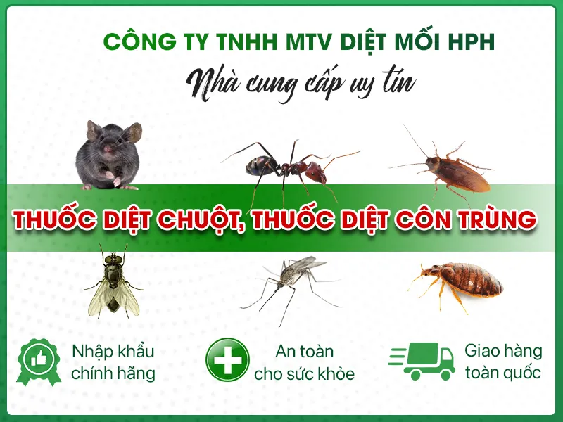 Sản phẩm gt — Diệt Mối HPH - Công Ty TNHH MTV Diệt Mối HPH — MST 0401841296