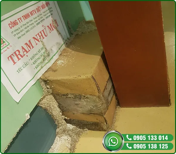 Sản phẩm thi cong 2 — Diệt Mối HPH - Công Ty TNHH MTV Diệt Mối HPH — MST 0401841296