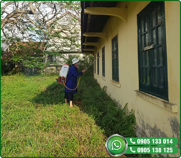Sản phẩm thi cong 3 — Diệt Mối HPH - Công Ty TNHH MTV Diệt Mối HPH — MST 0401841296