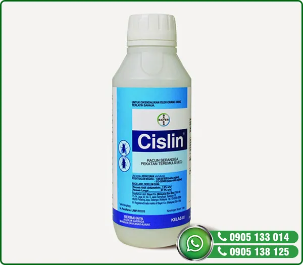 Sản phẩm Thuoc tru moi, mot CISLIN — Diệt Mối HPH - Công Ty TNHH MTV Diệt Mối HPH — MST 0401841296