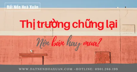 Sản phẩm lg smebkx7upe50vp4 1387 ban tin thi truong dnhx mot vai lo co gia giam nhe cac nha dau tu chop ngay co h — Công Ty CP Đầu Tư Golvis — MST 0401841458