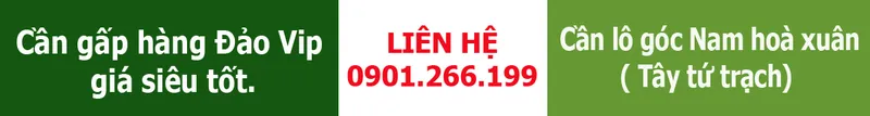 Sản phẩm tim hang dnhx(2) — Công Ty CP Đầu Tư Golvis — MST 0401841458