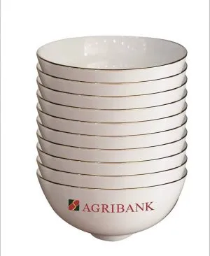 Sản phẩm 25152106_958077417683061_5492645488394404943_n 1 300x366 — Công Ty Trách Nhiệm Hữu Hạn Thương Mại Song Việt Phát — MST 0401863187