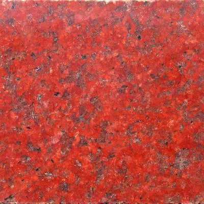Sản phẩm 41 do japan — Công Ty Cổ Phần Niên Đại Phát — MST 0401868844