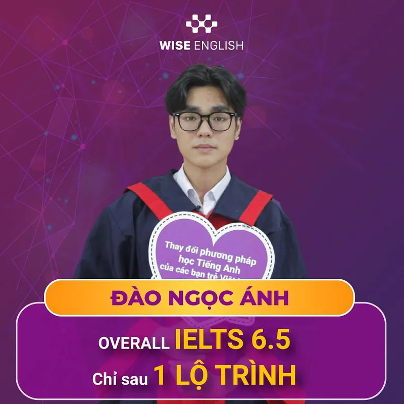 Sản phẩm thanh tich hoc vien dao ngoc anh 1 — Công Ty TNHH Tư Vấn Và Giáo Dục Wise — MST 0401876757