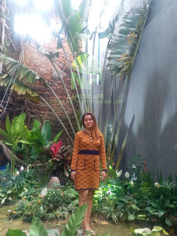Sản phẩm 0935351677 60 HV 1 — Công Ty TNHH Cảnh Quan NP — MST 0401877905