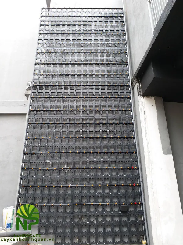 Sản phẩm Thi cong tuong cay xanh 0935.351 3 — Công Ty TNHH Cảnh Quan NP — MST 0401877905