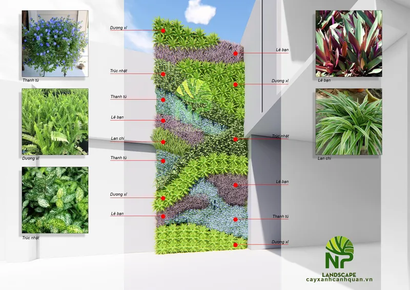 Sản phẩm Thiet ke Vuon Tuong Cay Xanh — Công Ty TNHH Cảnh Quan NP — MST 0401877905
