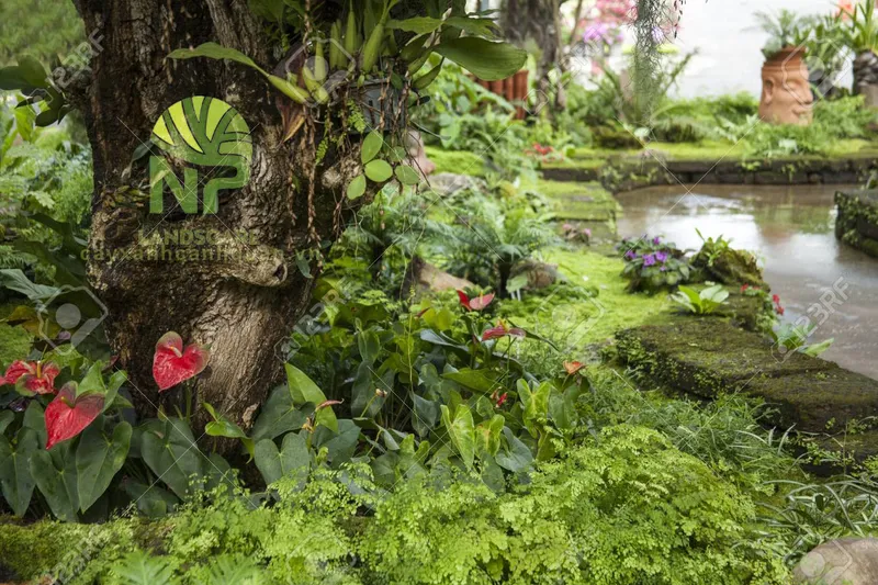 Sản phẩm Tropical garden 10 — Công Ty TNHH Cảnh Quan NP — MST 0401877905