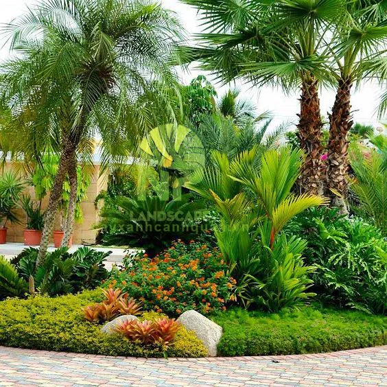 Sản phẩm Tropical garden 12 — Công Ty TNHH Cảnh Quan NP — MST 0401877905