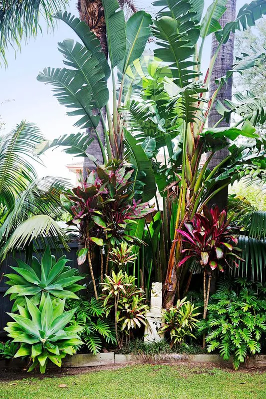 Sản phẩm Tropical garden 13 — Công Ty TNHH Cảnh Quan NP — MST 0401877905