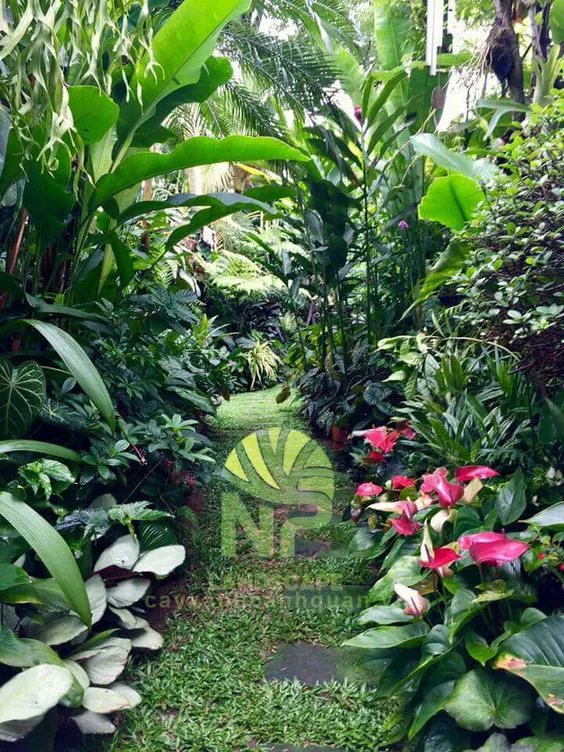 Sản phẩm Tropical garden 14 — Công Ty TNHH Cảnh Quan NP — MST 0401877905