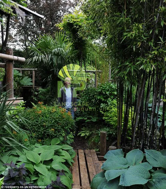 Sản phẩm Tropical garden 16 — Công Ty TNHH Cảnh Quan NP — MST 0401877905