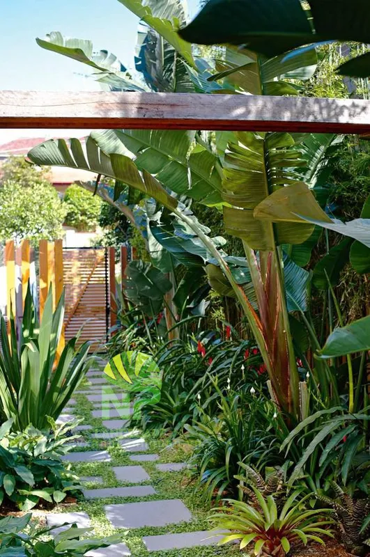 Sản phẩm Tropical garden 18 — Công Ty TNHH Cảnh Quan NP — MST 0401877905