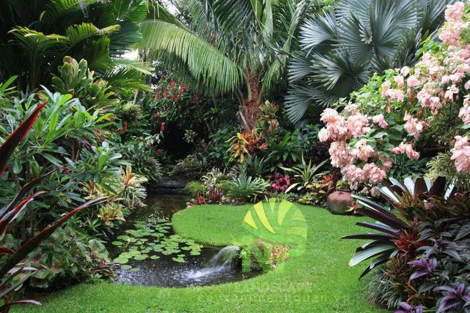 Sản phẩm Tropical garden 19 — Công Ty TNHH Cảnh Quan NP — MST 0401877905
