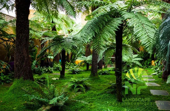 Sản phẩm Tropical garden 2 — Công Ty TNHH Cảnh Quan NP — MST 0401877905