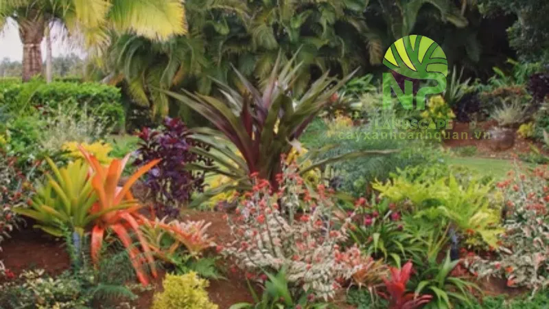 Sản phẩm Tropical garden 3 — Công Ty TNHH Cảnh Quan NP — MST 0401877905