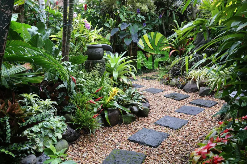 Sản phẩm Tropical garden 4 — Công Ty TNHH Cảnh Quan NP — MST 0401877905