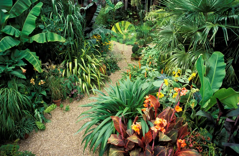 Sản phẩm Tropical garden 6 — Công Ty TNHH Cảnh Quan NP — MST 0401877905