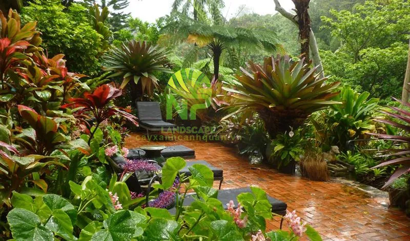 Sản phẩm Tropical garden 7 — Công Ty TNHH Cảnh Quan NP — MST 0401877905