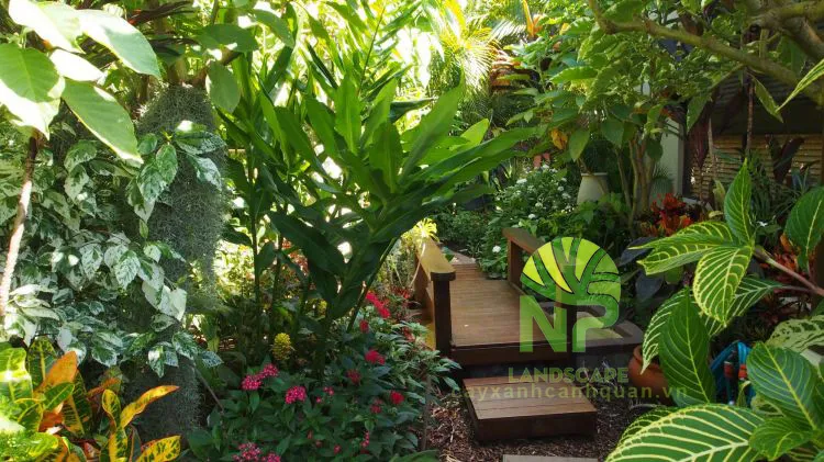 Sản phẩm Tropical garden 8 — Công Ty TNHH Cảnh Quan NP — MST 0401877905