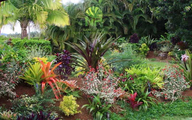 Sản phẩm Tropical garden 9 — Công Ty TNHH Cảnh Quan NP — MST 0401877905