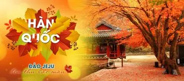 Sản phẩm Hàn Quốc 370x163 — Công Ty TNHH Dịch Vụ Du Lịch Tuấn Dung — MST 0401883722