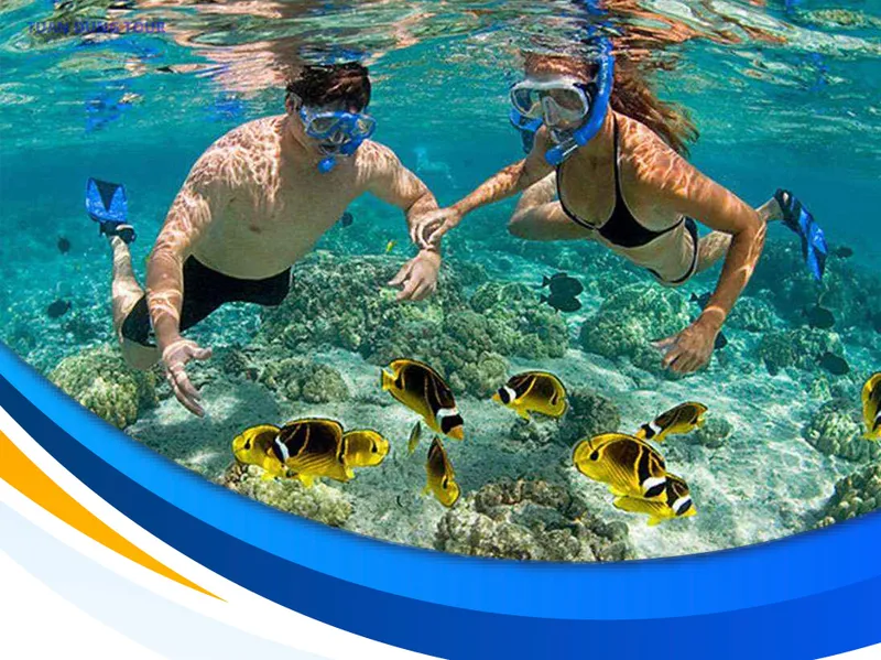 Sản phẩm tour hoi an ba na cu lao cham 3 ngay — Công Ty TNHH Dịch Vụ Du Lịch Tuấn Dung — MST 0401883722