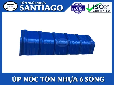 Sản phẩm up noc ton nhua 6 song 1893 — Công Ty TNHH Tôn Ngói Nhựa Santiago — MST 0401985410