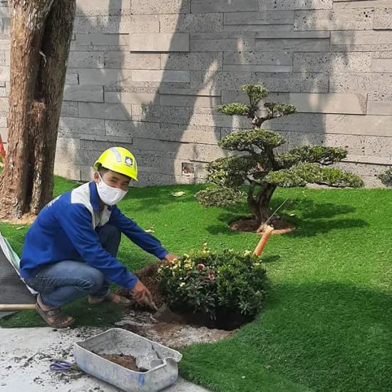 Sản phẩm 3. DOITUNG 550x550 — Đăng Khoa Garden - Công Ty TNHH Đăng Khoa Garden — MST 0401990442