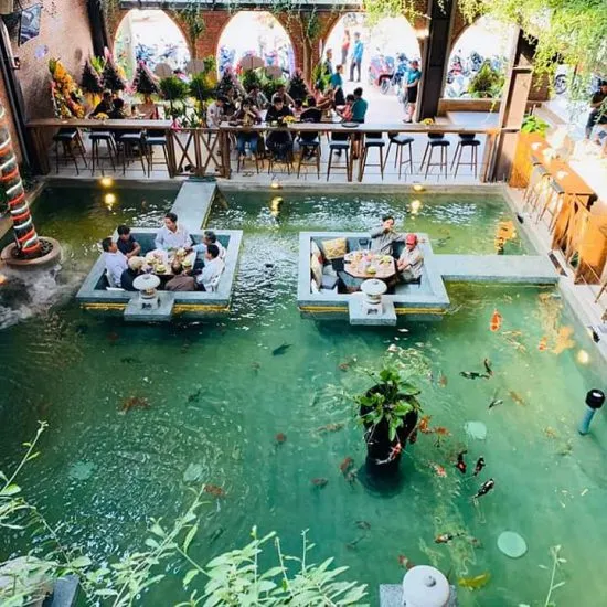 Sản phẩm 8.duy xuyên 3 550x550 — Đăng Khoa Garden - Công Ty TNHH Đăng Khoa Garden — MST 0401990442
