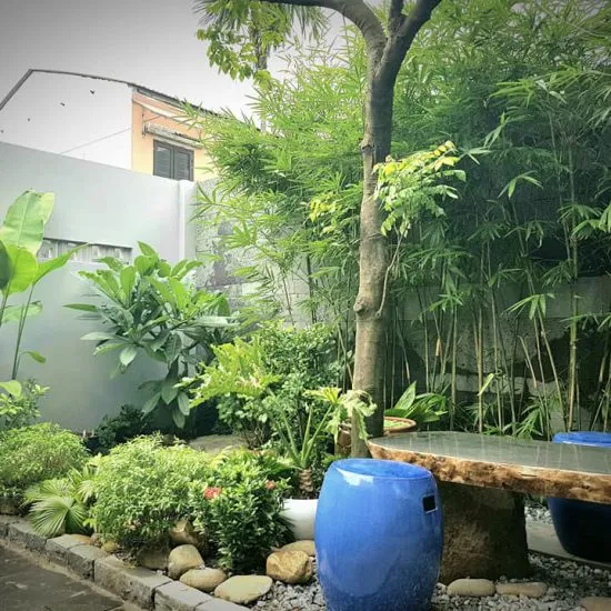 Sản phẩm SANVUON2 550x550 — Đăng Khoa Garden - Công Ty TNHH Đăng Khoa Garden — MST 0401990442