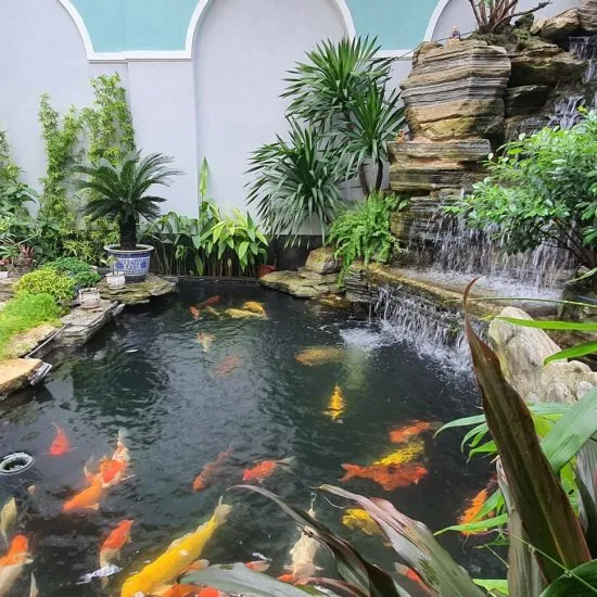Sản phẩm trungnguyen4 550x550 — Đăng Khoa Garden - Công Ty TNHH Đăng Khoa Garden — MST 0401990442