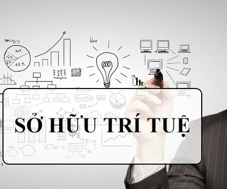 Sản phẩm vi sao phai sua doi luat so huu tri tue1.width 800 5120 — Công Ty TNHH HPT Consulting — MST 0401994126