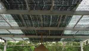Sản phẩm uu diem cua gian luoi che nang 300x171 — Công Ty TNHH Dịch Vụ Vệ Sinh Tuấn Hường — MST 0402042377