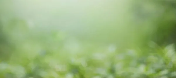 Sản phẩm dien nang luong mat troi uy tin nhat da nang — Điện Năng Lượng Mặt Trời DHC Solar - Công Ty TNHH Xây Dựng, Thương Mại Và Dịch
Vụ DHC Solar — MST 0402047375