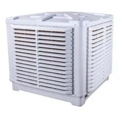 Sản phẩm z4769494071731_95dab6fec328318b6692750a8e9420bd 247x229 — Quạt Công Nghiệp Đại Lộc Phát - Công Ty TNHH Cơ Điện Thương Mại Dịch Vụ Đại Lộc
Phát — MST 0402047791